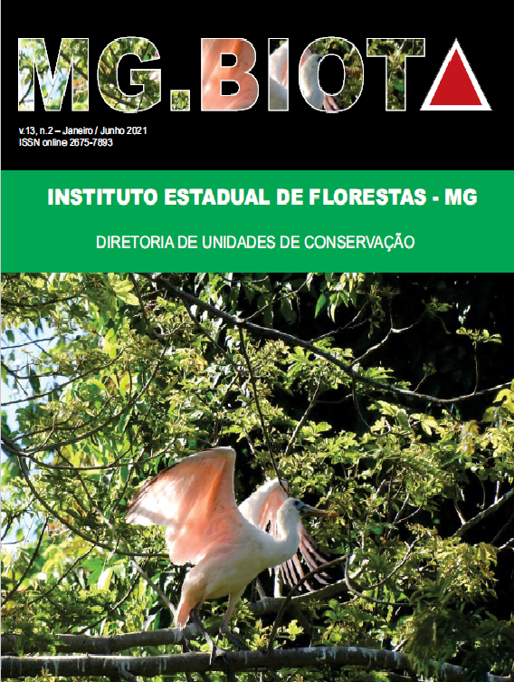 					Visualizar v. 13 n. 2 (2021): Revista MG.Biota - v.13, n.2 - Janeiro/Junho - 2021 - ISSN online 2675-7893
				